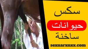 سكس حيوانات سكس حيوانات